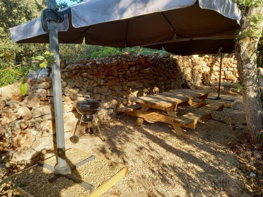Villa La Treille Saint-Maximin Dış mekan fotoğraf